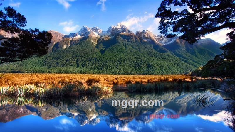 独守寻梦港的第1张照片