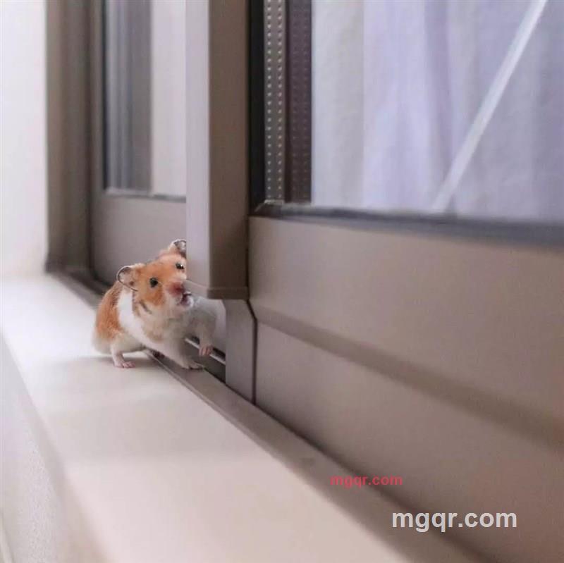 sandy的第1张照片