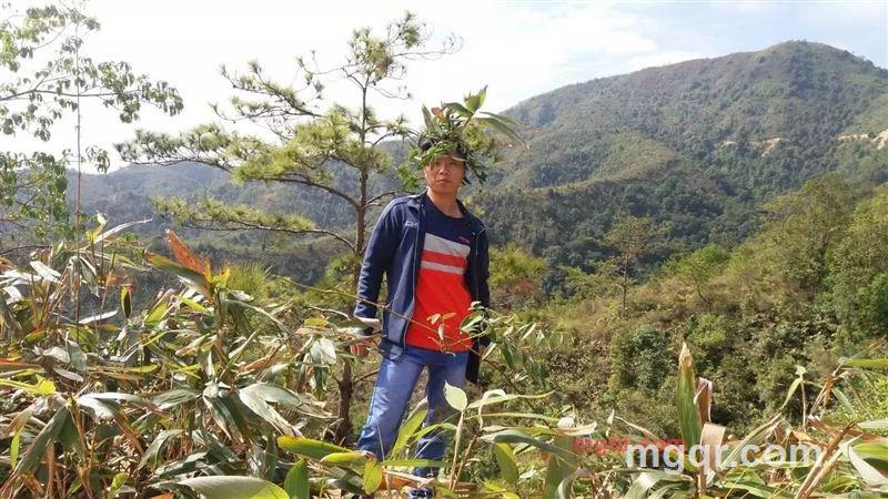 永久的第3张照片