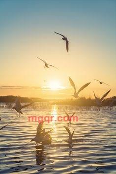 baby轩的第3张照片