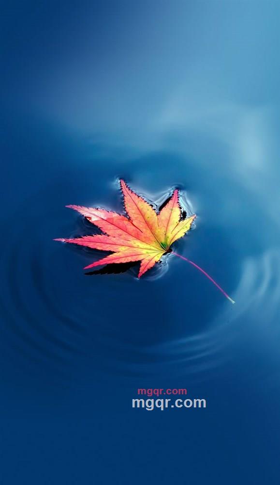 baby轩的第2张照片