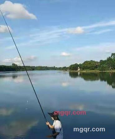 墨君的第1张照片