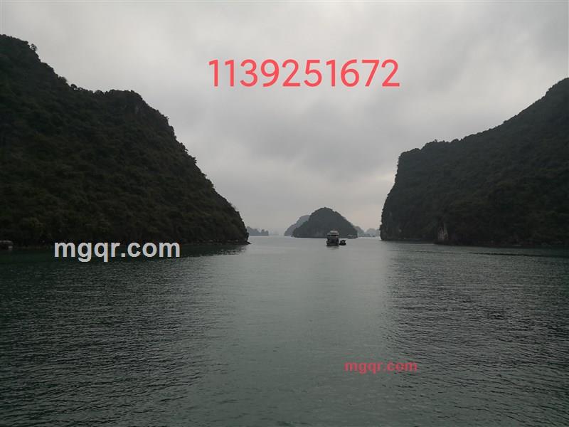 新邮件的第1张照片