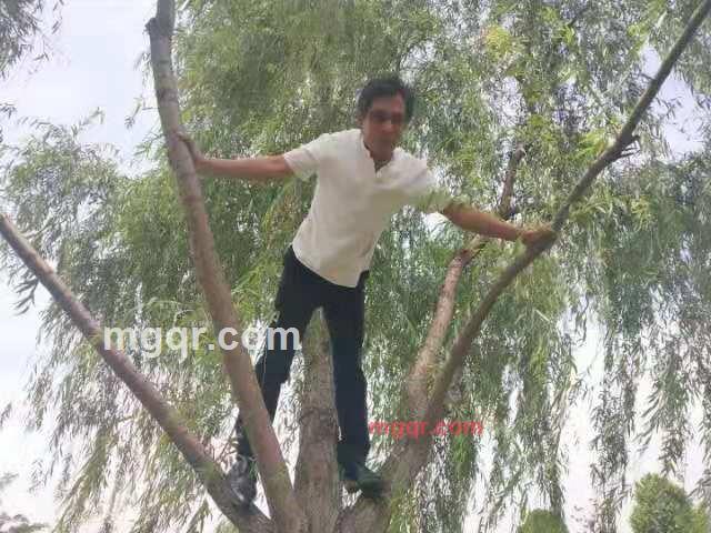 飛※龍的第2张照片