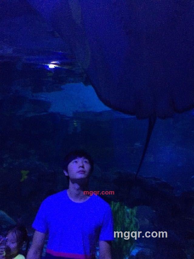 可乐的第4张照片