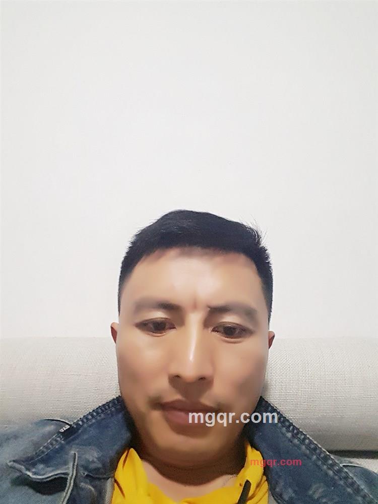 T663325的第1张照片