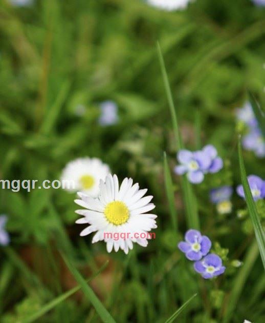 水珠的第1张照片