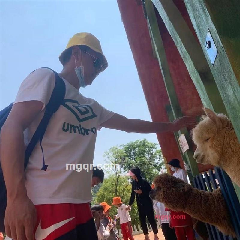 对方正在输入的第1张照片