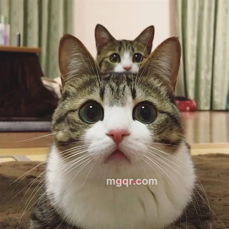 D-Boy的第6张照片