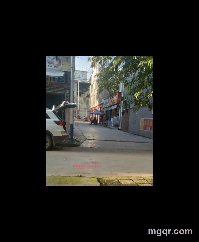 单身觅爱人的第4张照片