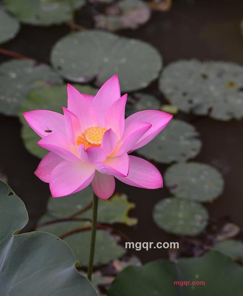 深圳儒雅男人的第3张照片