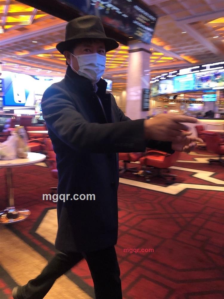 枫在风中的第3张照片
