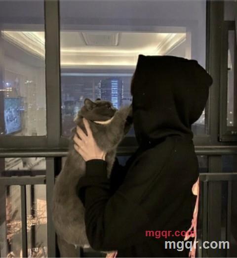 独角兽的第1张照片