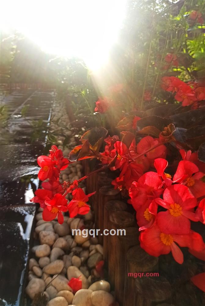 共度良辰的第1张照片