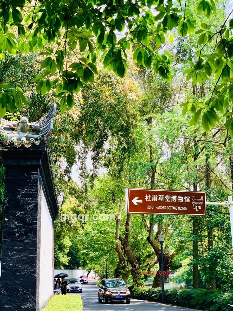 S多金主S的第7张照片