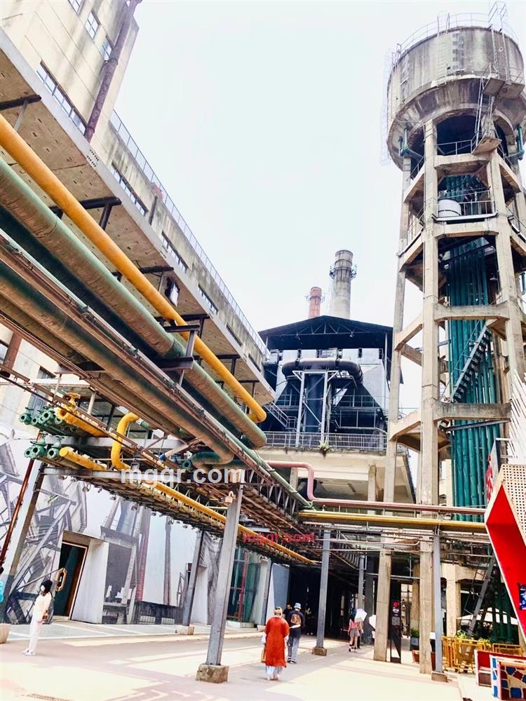 S多金主S的第5张照片