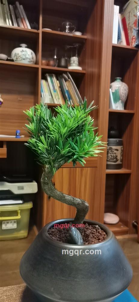 诗和远方的第1张照片