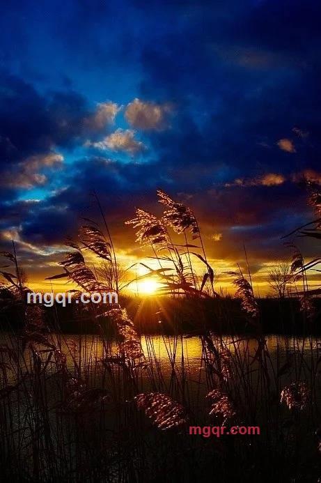 后天来的第1张照片