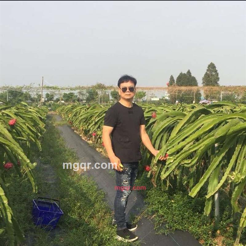 一方八方的第1张照片