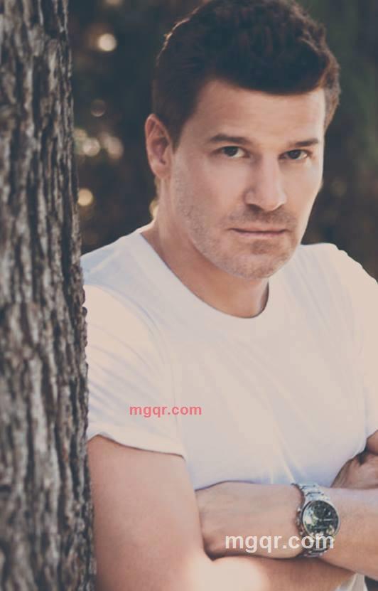 David mark435356的第1张照片