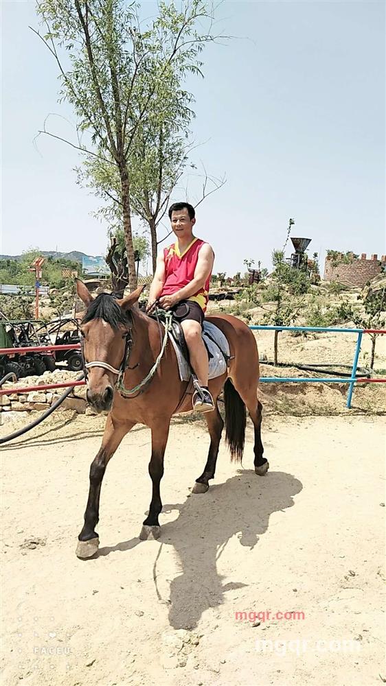 真情守候的第1张照片