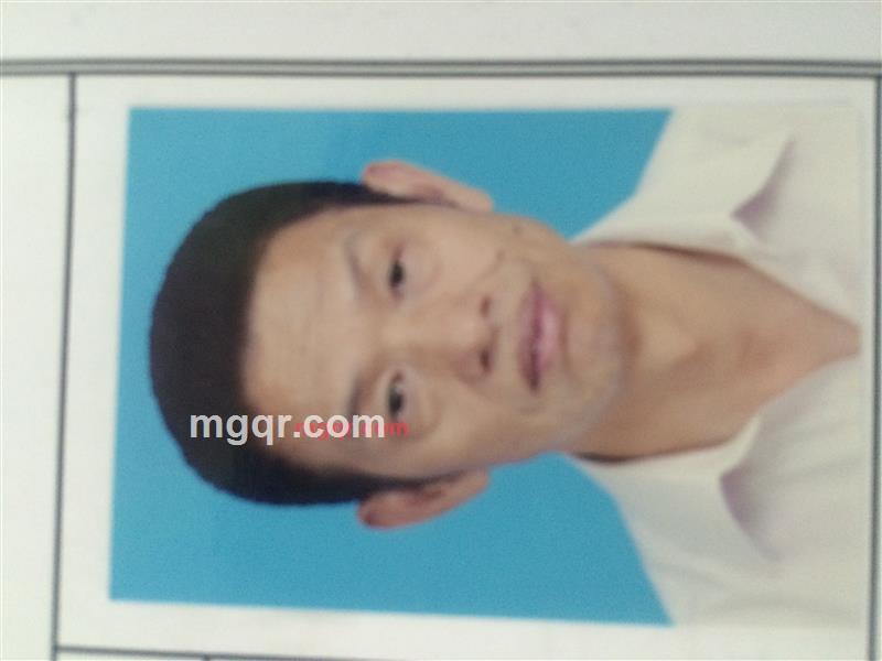 老朱0001的第2张照片