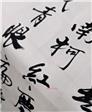 会员wc cxl 10 19的第1张照片