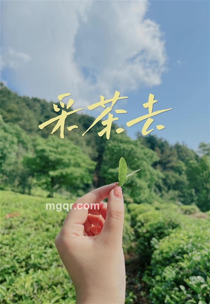 一笺寂寞赋谁的第4张照片