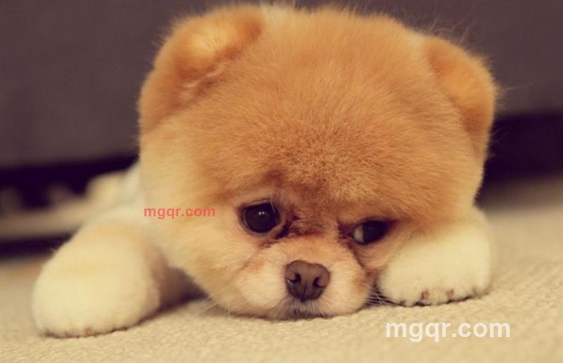 冰茶一吻的第2张照片