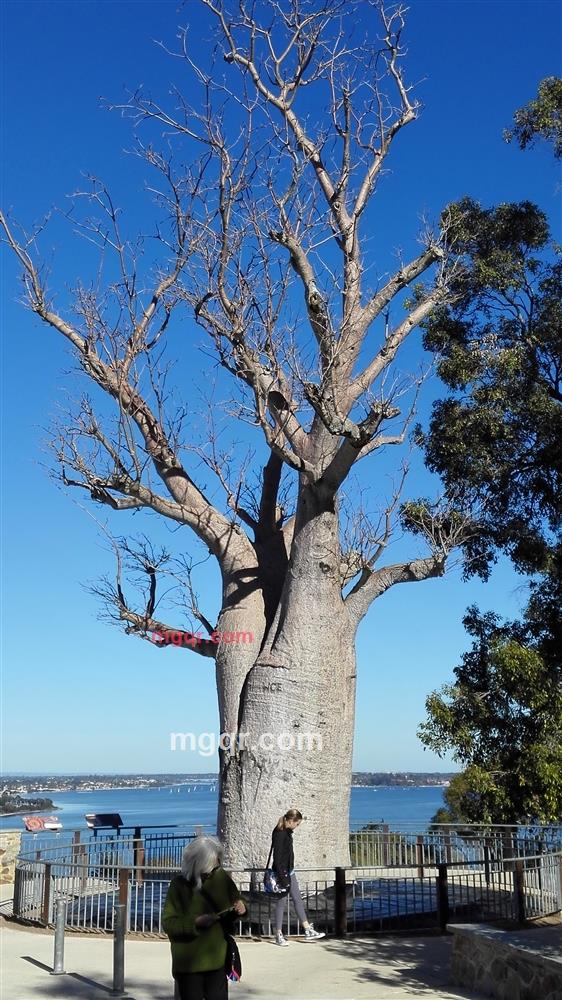 阳光中年的第1张照片