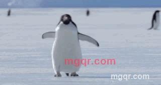 Tommy的第1张照片