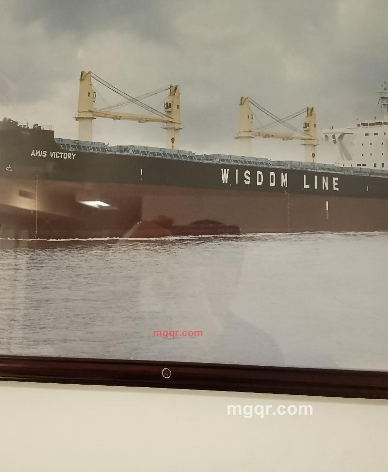 装甲坦克的第1张照片