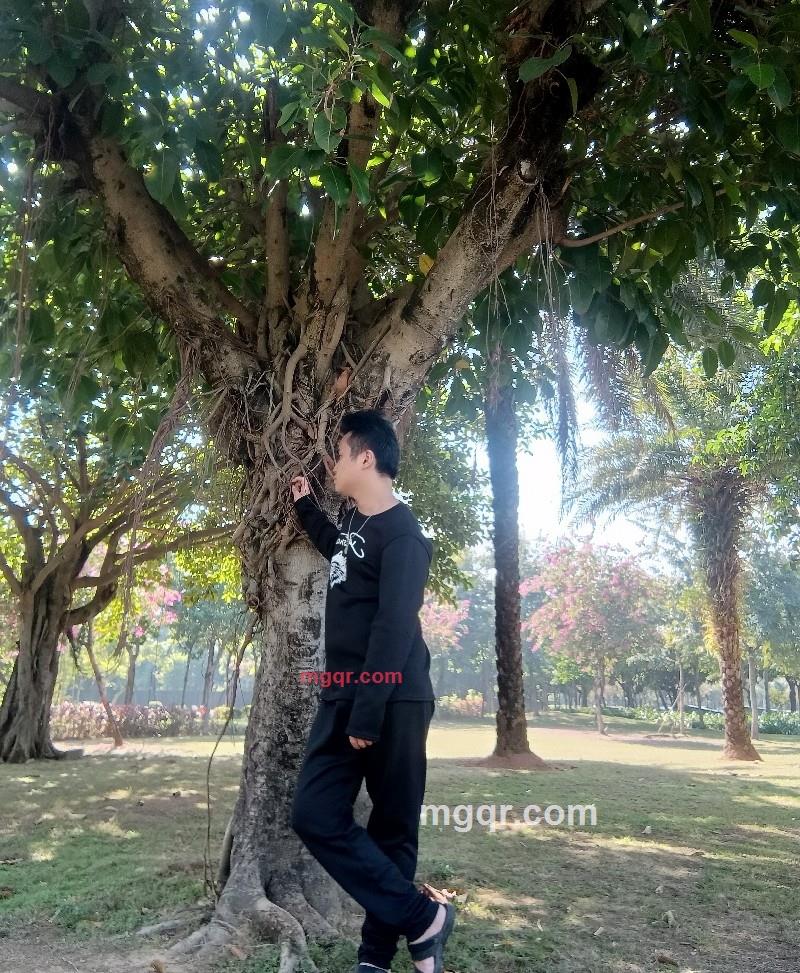 田会的第9张照片