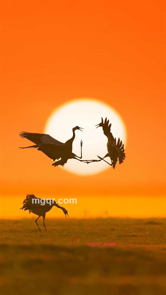 灵魂行者的第1张照片