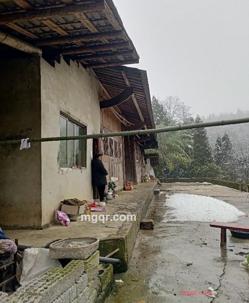 给我取个名字的第1张照片