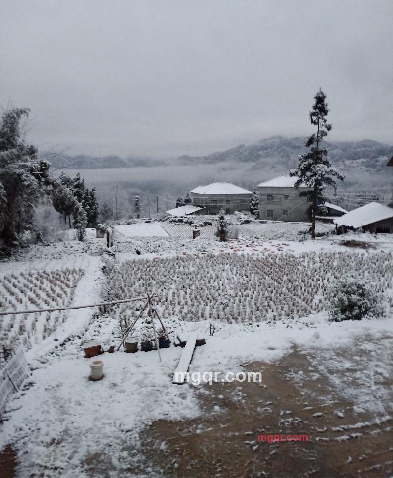 给我取个名字的第2张照片