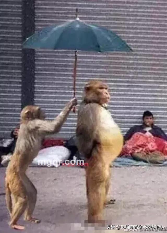 吴江没有的第1张照片