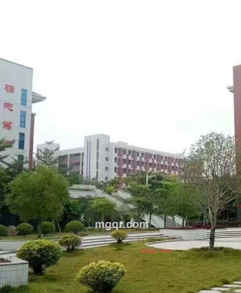 佳佳的第2张照片