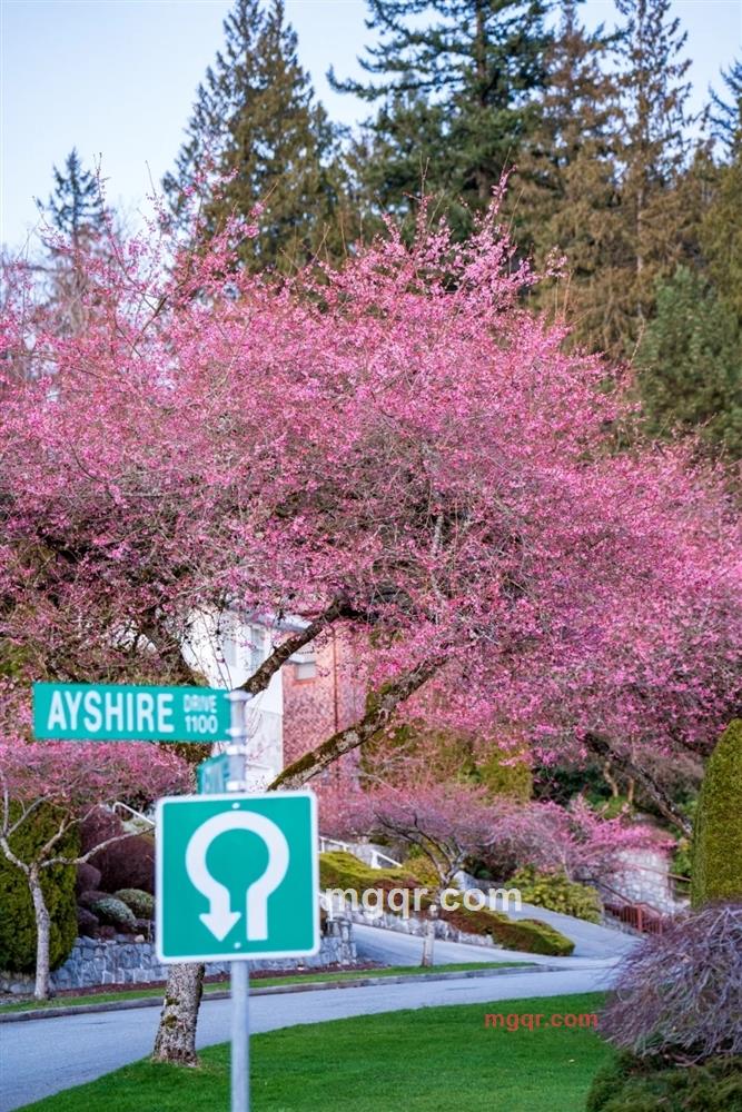 缘在哪里的第1张照片