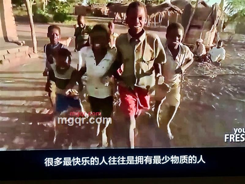 会员5262709的第2张照片