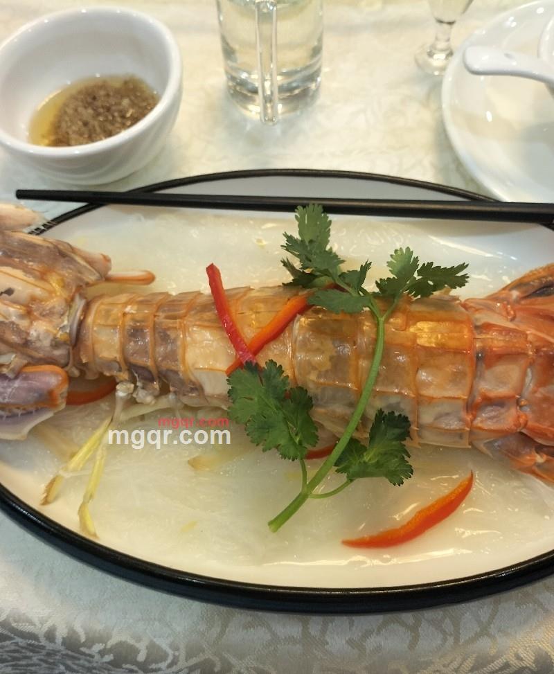 gummy的第1张照片