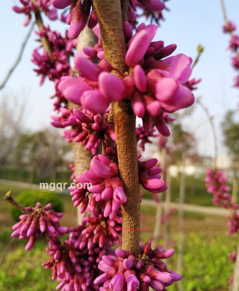 紫涵的第3张照片