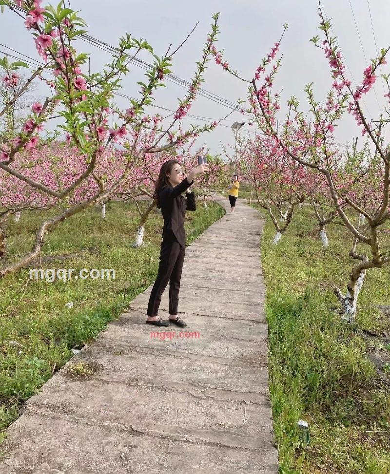 七月的第2张照片