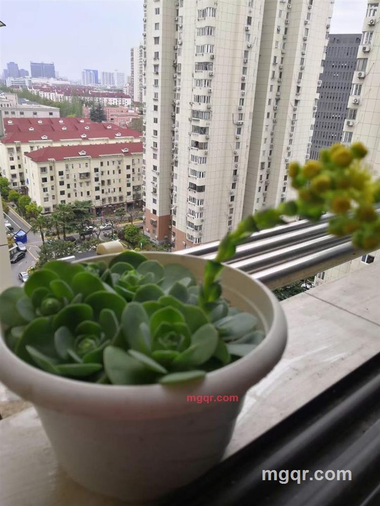 果子羊的第1张照片