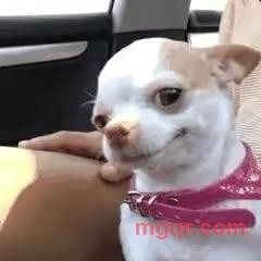 Movh的第2张照片