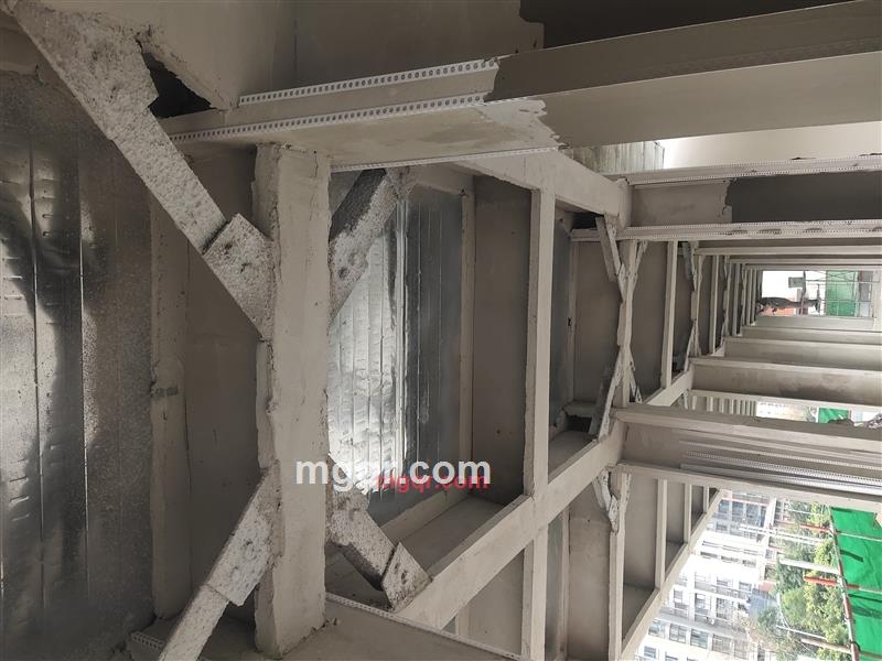 放眼未来的第2张照片