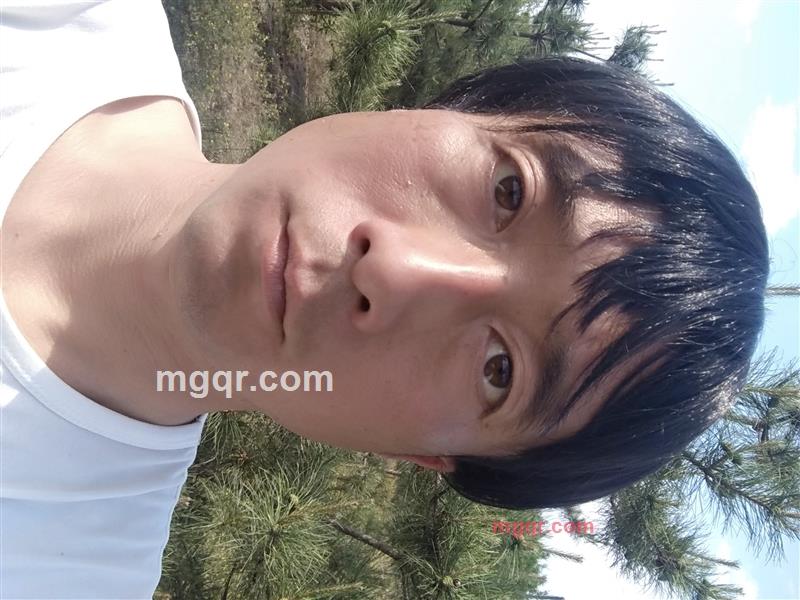 鹏程万里的第4张照片