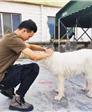 那方面贼猛的第1张照片