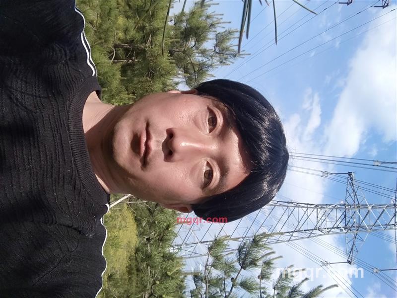 鹏程万里的第2张照片