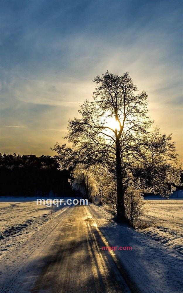 美国队长的第1张照片